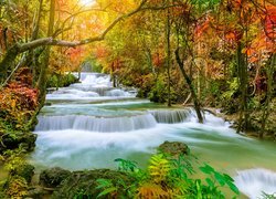 Jesień, Las, Drzewa, Rośliny, Kamienie, Wodospad Huai Mae Khamin, Park Narodowy Khuean Srinagarindra, Prowincja Kanchanaburi, Tajlandia