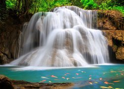 Wodospad, Huai Mae Khamin Waterfall, Rzeka, Ryby, Skały, Kanchanaburi, Tajlandia