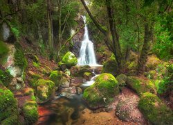 Wodospad i omszone kamienie przy rzece w zielonym lesie