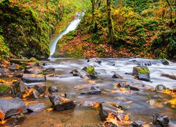 Wodospad i rzeka Bridal Veil w rezerwacie przyrody Columbia River Gorge