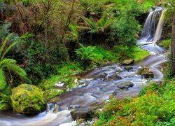 Wodospad, Sailors Falls, Rzeka, Sailors Creek, Drzewa, Paprocie, Kamienie, Musk Vale, Stan Wiktoria, Australia