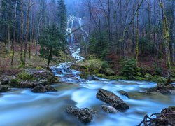 Wodospad i rzeka w lesie
