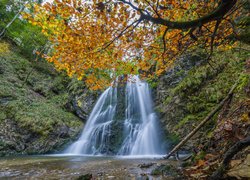Wodospad, Josefsthaler Waterfalls, Las, Skały, Drzewa, Liście, Jesień, Bawaria, Niemcy