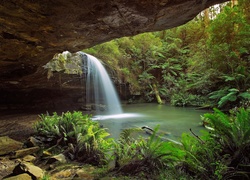 Australia, Park Narodowy Great Otway, Wodospad Kalimna, Paprocie, Skała