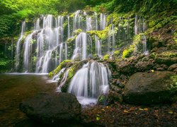 Las, Rzeka, Omszone, Kamienie, Wodospad, Banyu Wana Amertha Wasserfall, Kaskada, Roślinność, Prowincja Wanagiri, Bali, Indonezja
