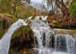 Wodospad kaskadowy na omszałych skałach w lesie