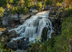 Skały, Wodospad, Rzeka, Sydenham River, Krzewy, Ontario, Kanada