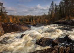 Jesień, Drzewa, Rwąca, Rzeka Voynitsa, Wodospad Kumi-Porog, Skały, Karelia, Rosja