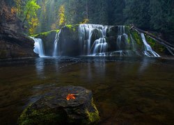 Omszałe, Kamień, Las, Liść, Wodospad Lower Lewis River Falls, Osada Cougar, Stan Waszyngton, Stany Zjednoczone