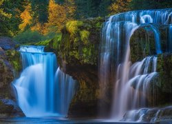 Wodospad, Lower Lewis River Falls, Drzewa, Cougar, Stan Waszyngton, Stany Zjednoczone