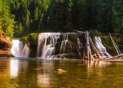 Las, Drzewa, Wodospad Lower Lewis River Falls, Omszałe, Skały, Rzeka, Osada Cougar, Stan Waszyngton, Stany Zjednoczone