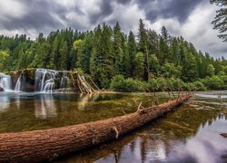 Rezerwat Gifford Pinchot, Rzeka Lewis River, Wodospad Lower Lewis River Falls, Drzewa, Las, Chmury, Stan Waszyngton, Stany Zjednoczone