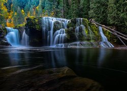 Omszałe, Skały, Las, Wodospad Lower Lewis River Falls, Stan Waszyngton, Stany Zjednoczone