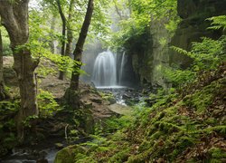 Las, Drzewa, Strumień, Rzeka, Wodospad Lumsdale Falls, Miejscowość Matlock, Hrabstwo Derbyshire, Anglia