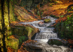 Wodospad, Lumsdale Waterfall, Potok, Skały, Las, Drzewa, Kolorowe, Liście, Jesień, Matlock, Anglia