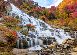 Jesień, Las, Drzewo, Skały, Kamienie, Wodospad, Mae Ya Waterfall, Park Narodowy Doi Inthanon, Chiang Mai, Tajlandia