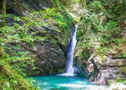 Skały, Wodospad, Mitaru Gongen Waterfall, Rzeka, Rośliny, Prefektura Kochi, Japonia