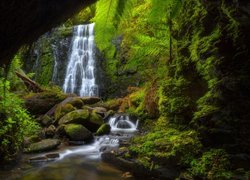 Las, Rzeka, Kamienie, Skały, Wodospad, Monomeith Falls, Drzewa, Roślinność, Wiktoria, Australia