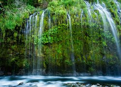Wodospad Mossbrae Falls, Rośliny, Dunsmuir, Stan Kalifornia, Stany Zjednoczone