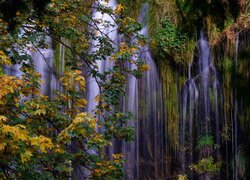 Wodospad Mossbrae Falls, Drzewa, Jesień, Hrabstwo Siskiyou, Dunsumuir, Stan Kalifornia, Stany Zjednoczone