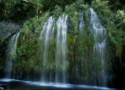 Wodospad Mossbrae Falls, Rośliny, Stan Kalifornia, Stany Zjednoczone