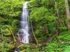 Stany Zjednoczone, Stan Tennessee, Park Narodowy Great Smoky Mountains, Wodospad Mouse Creek Falls, Omszałe, Skały, Las, Drzewa, Roślinność