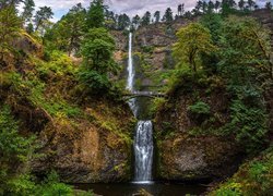 Wodospad, Multnomah Falls, Most, Skały, Rośliny, Drzewa, Hrabstwo Multnomah, Oregon, Stany Zjednoczone