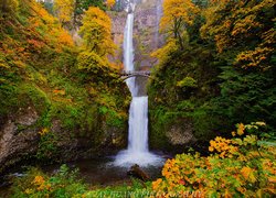 Wodospad Multnomah Falls, Jesień, Most, Skały, Drzewa, Roślinność, Hrabstwo Multnomah, Oregon, Stany Zjednoczone