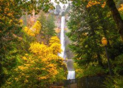 Wodospad, Multnomah Falls, Most, Drzewa, Latarnia, Jesień, Stan Oregon, Stany Zjednoczone