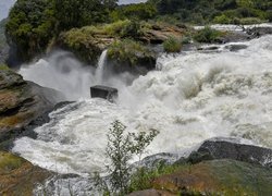 Wodospad Murchison Falls na Nilu Wiktorii