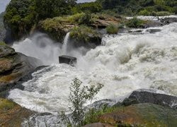 Wodospad, Murchison Falls, Rzeka, Nil Wiktorii, Kamienie, Park Narodowy Wodospadu Murchisona, Uganda, Afryka