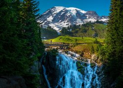 Las, Drzewa, Góry Kaskadowe, Góra Rainier, Most, Wodospad, Myrtle Falls, Kaskada, Park Narodowy Mount Rainier, Waszyngton, Stany Zjednoczone