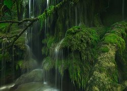 Wodospad na omszałych skałach i drzewach
