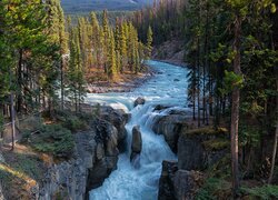 Wodospad na rzece Athabasca w Parku Narodowym Jasper