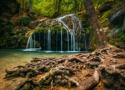 Wodospad, Rzeka Ulu-Uzen, Las, Drzewa, Wąwóz Haphal, Krym, Rosja