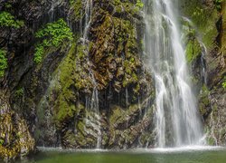 Wodospad na skale porośniętej roślinami
