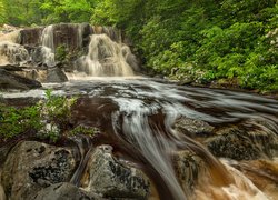 Wodospad na skale wpadający do rzeki w lesie