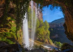 Skały, Rośliny, Wodospad, Sant Miquel del Fai, Katalonia, Hiszpania