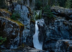 Wodospad, Nairn Falls, Skały, Drzewa, Park, Kanada