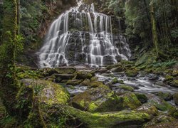 Park Narodowy Franklin-Gordon Wild Rivers, Las, Skała, Kamienie, Wodospad, Nelson Falls, Rzeka, Drzewa, Tasmania, Australia