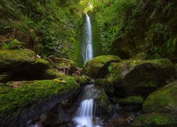Wodospad Nicols Falls w Nowej Zelandii