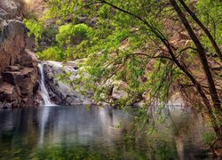 Wodospad Oasis w Castle Creek Wilderness