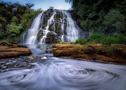 Las, Drzewa, Wodospad, Owharoa Falls, Skała, Rzeka, Kamienie, Waikato, Nowa Zelandia