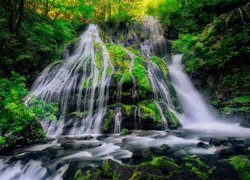 Drzewa, Omszona, Skała, Wodospad, Panther Creek Falls, Miejsce chronione, Gifford Pinchot National Forest, Stan Waszyngton, Stany Zjednoczone