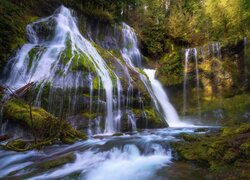 Stany Zjednoczone, Stan Waszyngton, Las, Drzewa, Wodospad, Panther Creek Falls, Gifford Pinchot National Forest