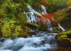 Stany Zjednoczone, Stan Waszyngton, Panther Creek Falls, Wodospad, Las, Rzeka, Drzewa, Miejsce chronione, Gifford Pinchot National Forest