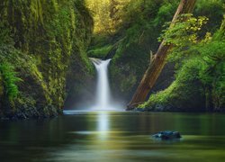 Wodospad Punch Bowl Falls w Stanach Zjednoczonych