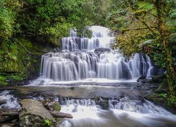 Las, Wodospad, Purakaunui Falls, Drzewa, Skała, Catlins, Nowa Zelandia