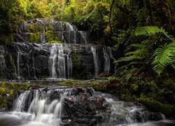 Kaskada, Rzeka, Skały, Wodospad, Purakaunui Falls, Drzewa, Paprocie, Catlins, Nowa Zelandia