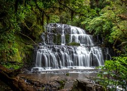 Wodospad, Purakaunui Falls, Drzewa, Skała, Catlins, Nowa Zelandia
